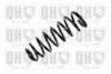 QUINTON HAZELL QCS8010 Coil Spring